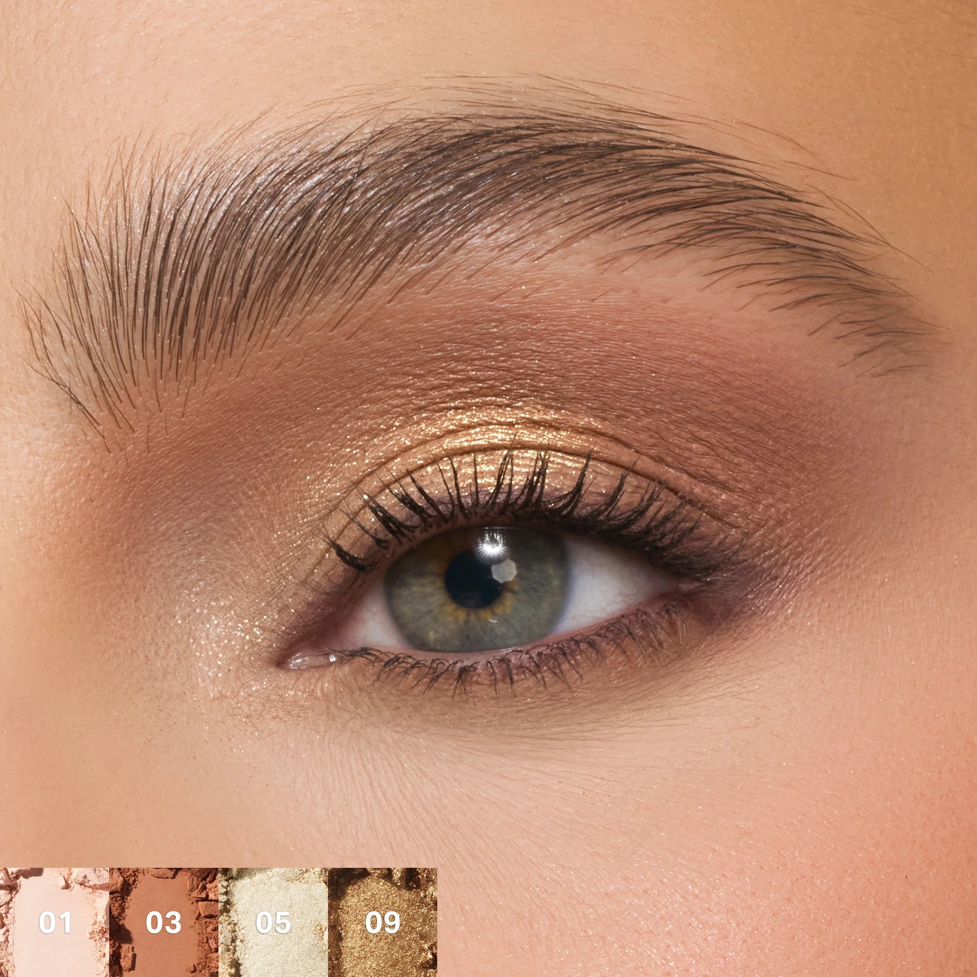 Eyeshadow Palette